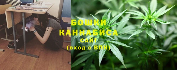 скорость Гусев