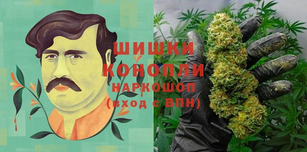 скорость Гусев