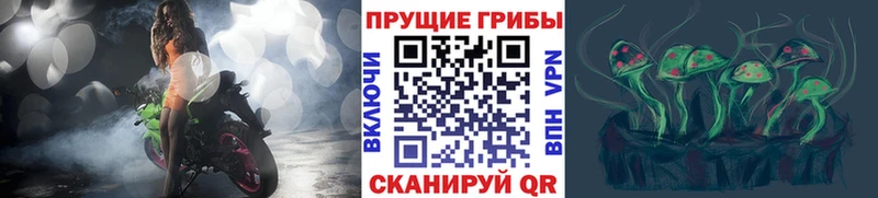 Псилоцибиновые грибы мицелий  Купить где  Ленинск-Кузнецкий 