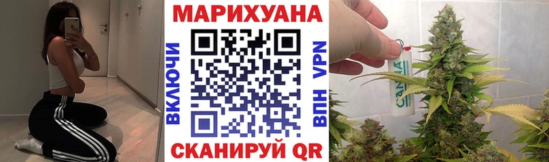 Купить где  Ленинск-Кузнецкий  Шишки марихуана ГИДРОПОН 